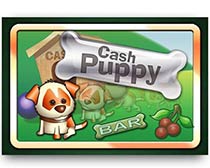 Cash Puppy