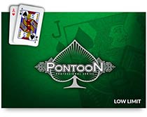 Pontoon Professional Series (Low Limit)
