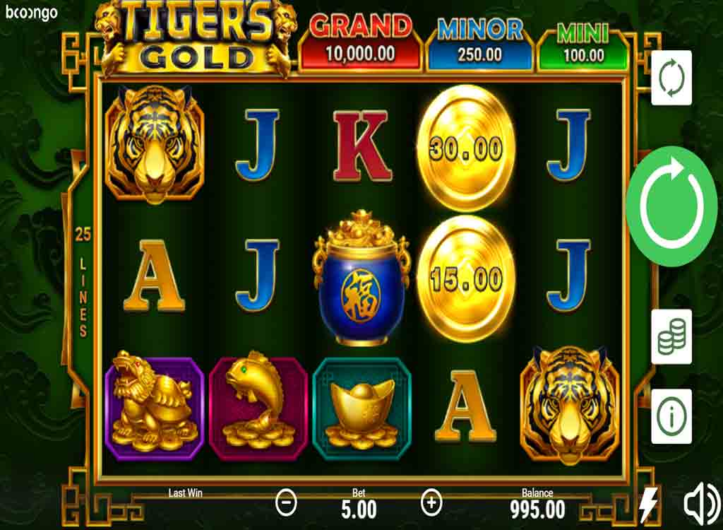 Jouer à Tiger’s Gold Hold and Win