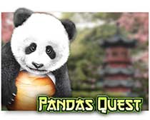 Panda's Quest