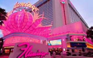 Flamingo Casino