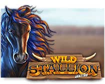 Wild Stallion Quattro