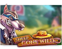 Sheep Gone Wild